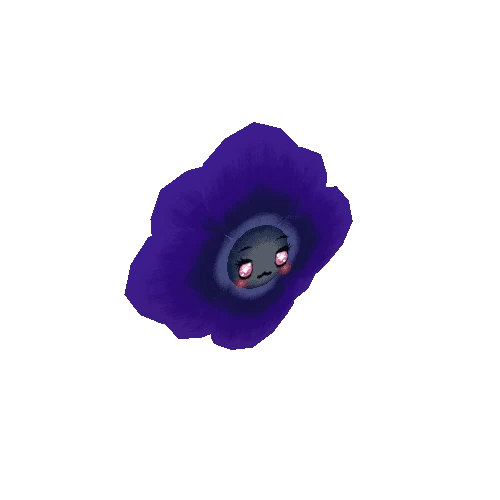 poppy anemone (cute)